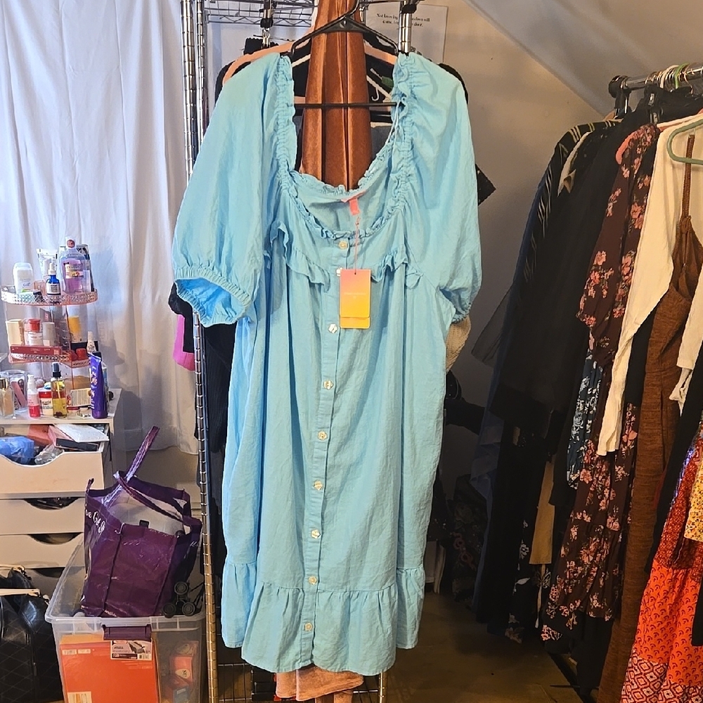 Blue Button-Down Dress